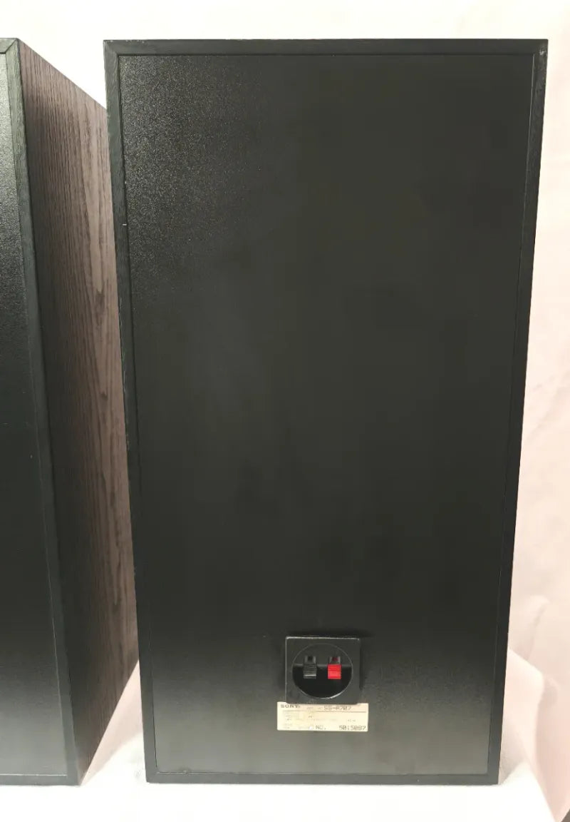 Altavoces Sony SS-A707 Negros