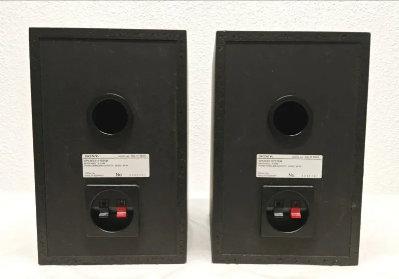 Altavoces Sony SS-H 1600 Negros