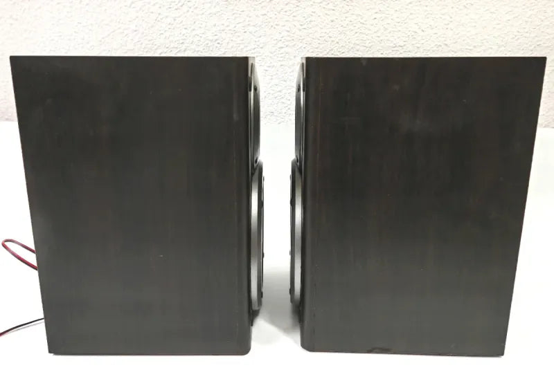 Altavoces Panasonic SB-PM20 Negros